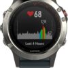 Garmin fenix 5 Sportuhr silber/blau